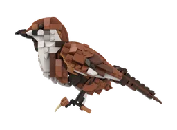 31154 Sparrow