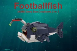 Footballfish 31088 2 to 1