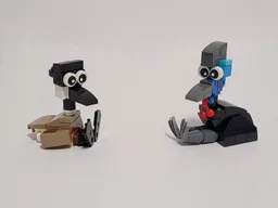Funny Birds: Canada Goose