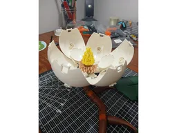 Magnolia Flower