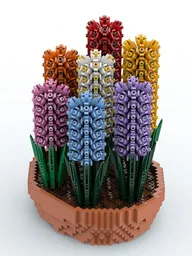 Colorful Hyacinths in a Terracotta Bowl