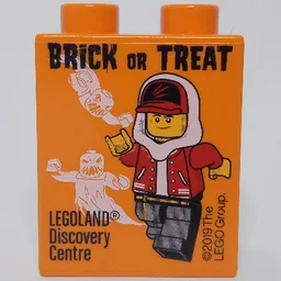 Duplo Brick 1 x 2 x 2 with Legoland Discovery Centre Brick Or Treat Print - 2019 / Orange