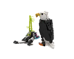 Bald Eagle