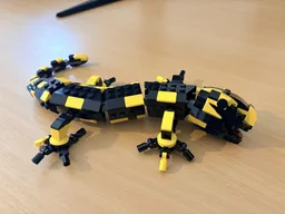 Fire Salamander