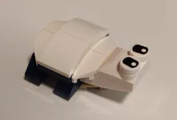 31088 turtle