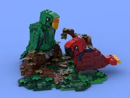 Eclectus Parrots