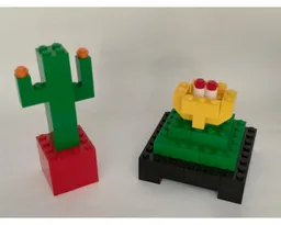6166 Cacti