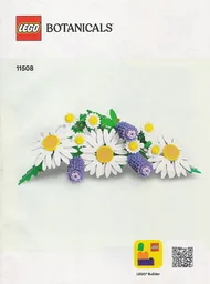 Daisies