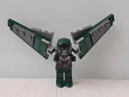Vulture's Wings