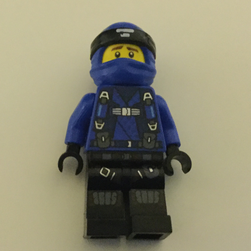 Lego Jay (Hunted)