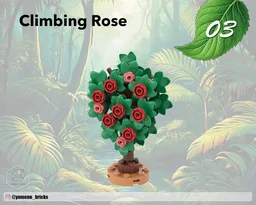 Climbing Rose