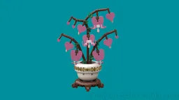 Bleeding Heart Plant in Bowl