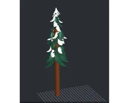 Tall Evergreen tree