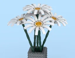 Five Daisies in a Simple Vase