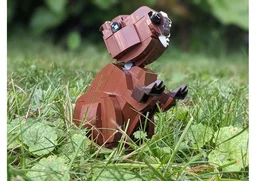 Capybara Model
