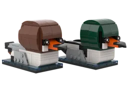 Common Mergansers