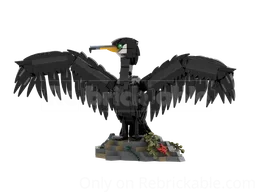 Cormorant