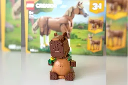 Capybara Backpacker