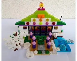 41353 Winter House