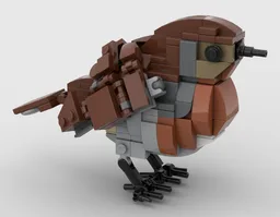 Eurasian Robin