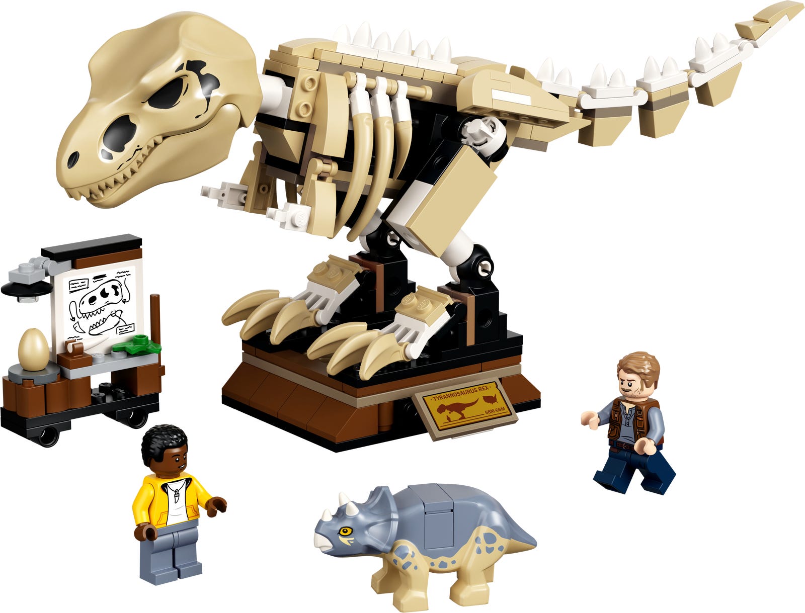 Lego T. rex Dinosaur Fossil Exhibition