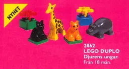 Zoo Babies (Baby Animals)