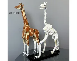 21320 Giraffe skeleton