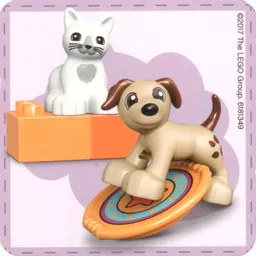 Find a Pair Card from Set 40267-1 / [No Color/Any Color]