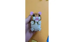 Surprised Hamster
