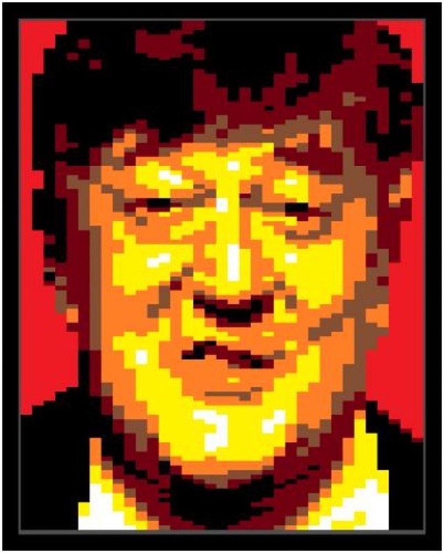 Lego STEPHEN FRY (UK TV PRESENTER/PERSONALITY) CELEBRITY PORTRAIT