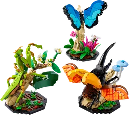 The Insect Collection