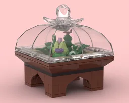 Plant Terrarium