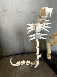 Cobra skeleton