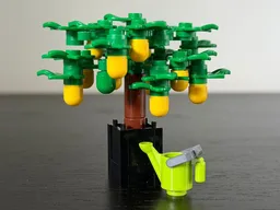 Potted Lemon Tree