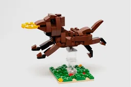 Frisbee Dog