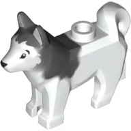 Animal, Dog, Husky with Black Eyes, Black Nose Print and Marbled Dark Bluish Gray Ears and Back Pattern / White