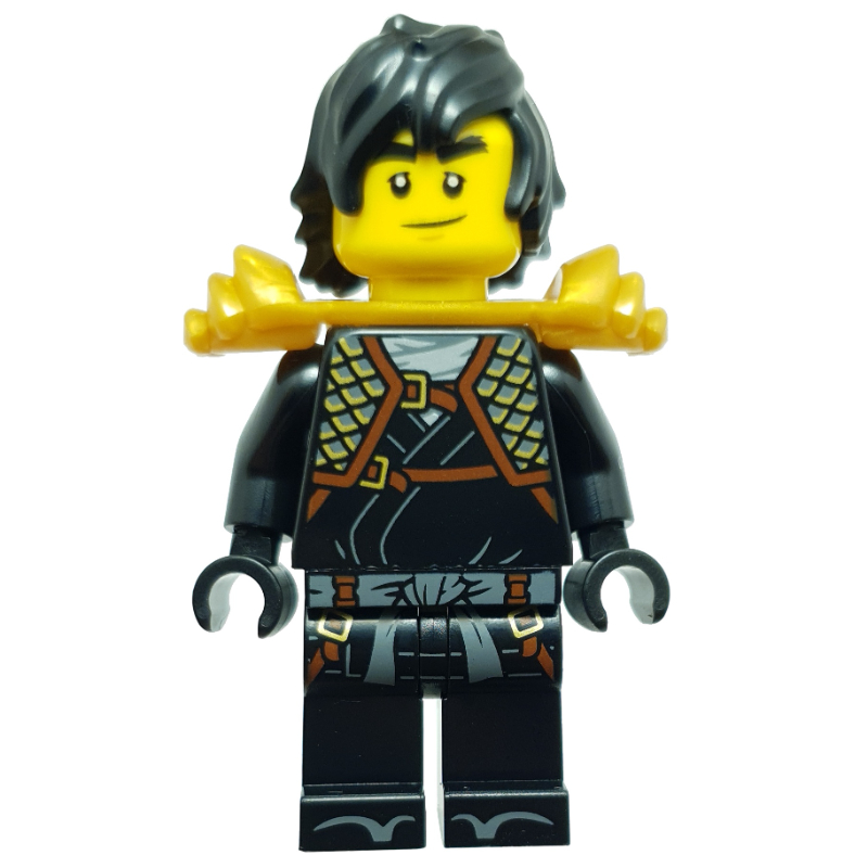 Lego Cole