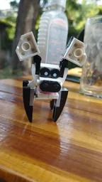 panda pig