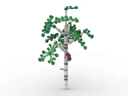 Small Birch Tree
