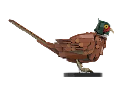 Pheasant
