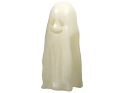 Costume Ghost Shroud