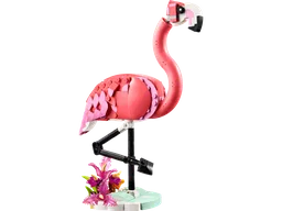 Wild Animals: Pink Flamingo