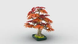 MOD - Japanese Maple Tree - Fall - bushier