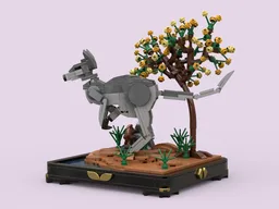 Kangaroo Country
