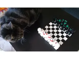 Small chess set