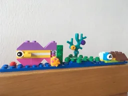 Blue & yellow fish