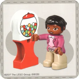 Find a Pair Card from Set 40267-1 / [No Color/Any Color]