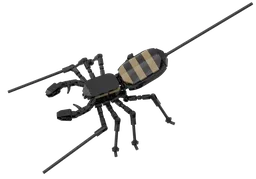 Vinegaroon (Uropygi Order)