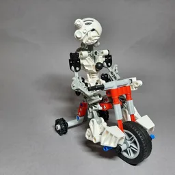 42132 Tricycle