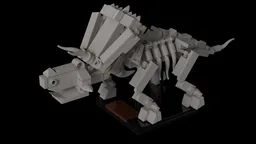 Anchiceratops Fossil